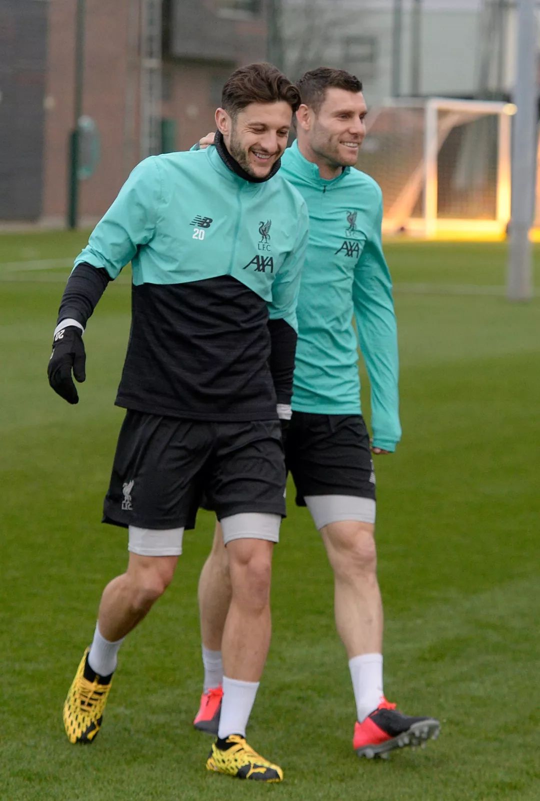 包含英超赛程吃紧；布莱顿清晨伤情更新；更衣室稳定；医务组通报恢复的词条